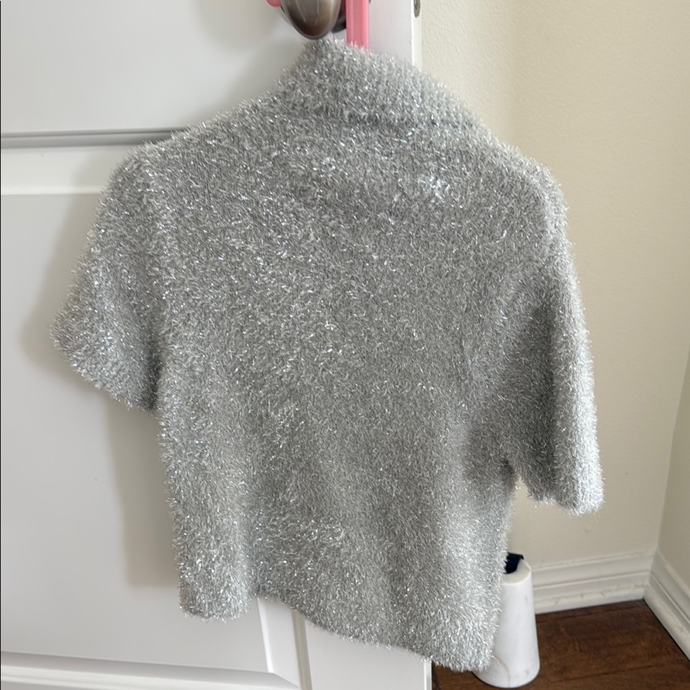 Zara Shimmering Silver Fuzzy Top